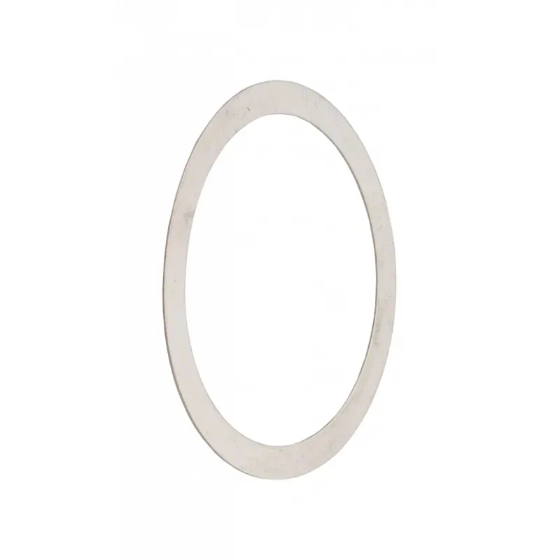 Centerlock Rotor Shims Silver 10 pack 0-1