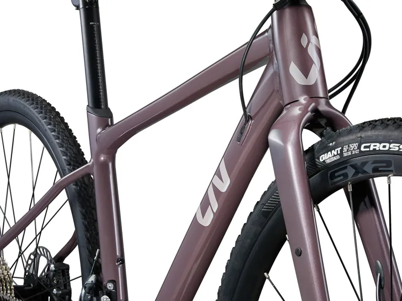 2024 Liv Devote 1 Womens Gravel Bike in Purple-2