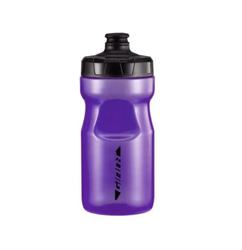 2020 Giant ARX Water Bottle in Purple