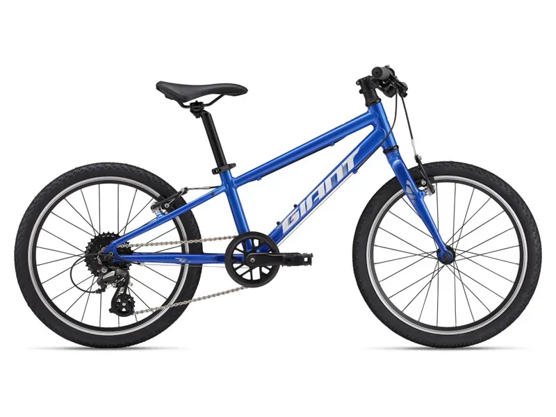 2025 Giant ARX 20 inch Kids Bike In Blue