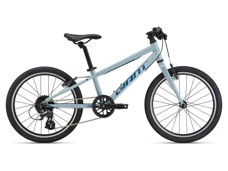 2025 Giant ARX 20 inch Kids Bike In Blue