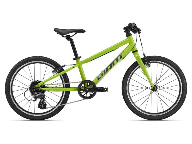 2025 Giant ARX 20 inch Kids Bike In Green