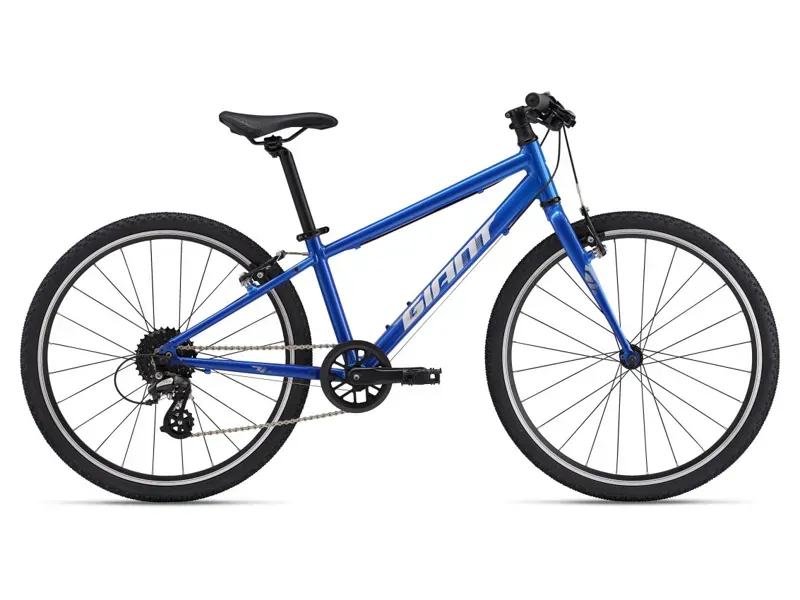 2025 Giant ARX 24 inch Kids Bike In Blue