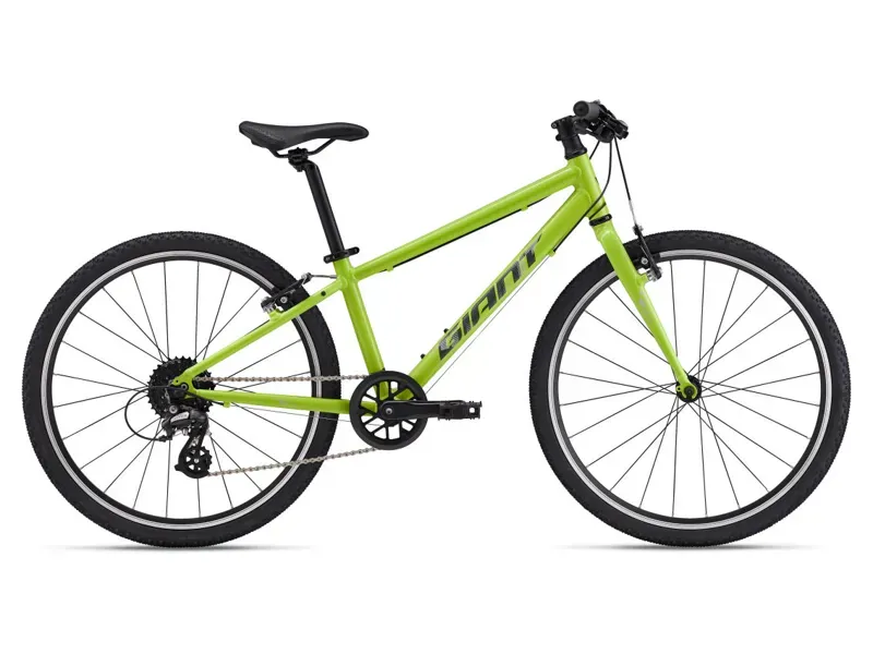 2025 Giant ARX 24 inch Kids Bike In Green