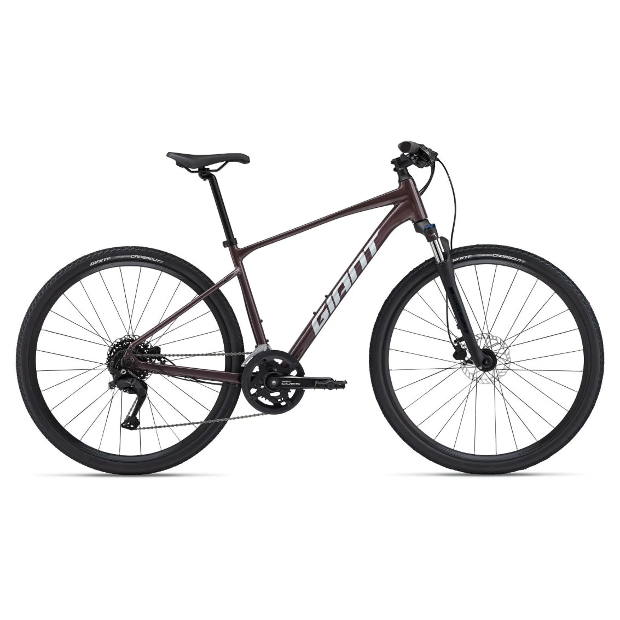 2024 Giant Roam Disc Mens Hybrid Bike in Purple