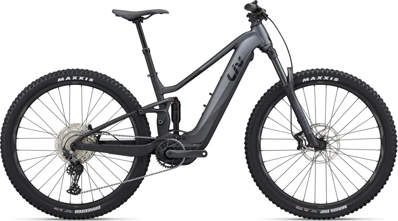 Giant liv e 2025