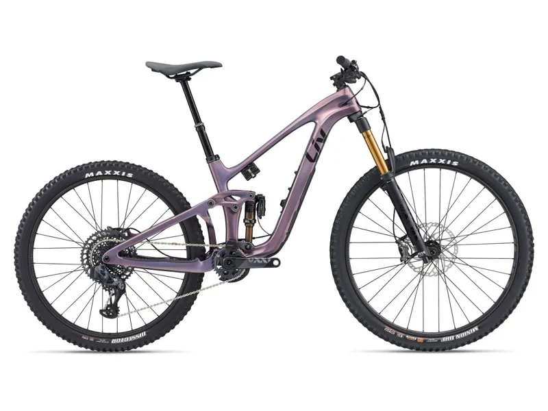 Mountain Bikes Giant Lincoln Tugby