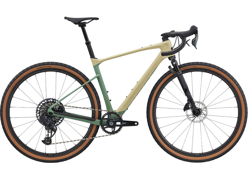 2026 Giant Revolt X Advanced Pro 1 in Pale Olive