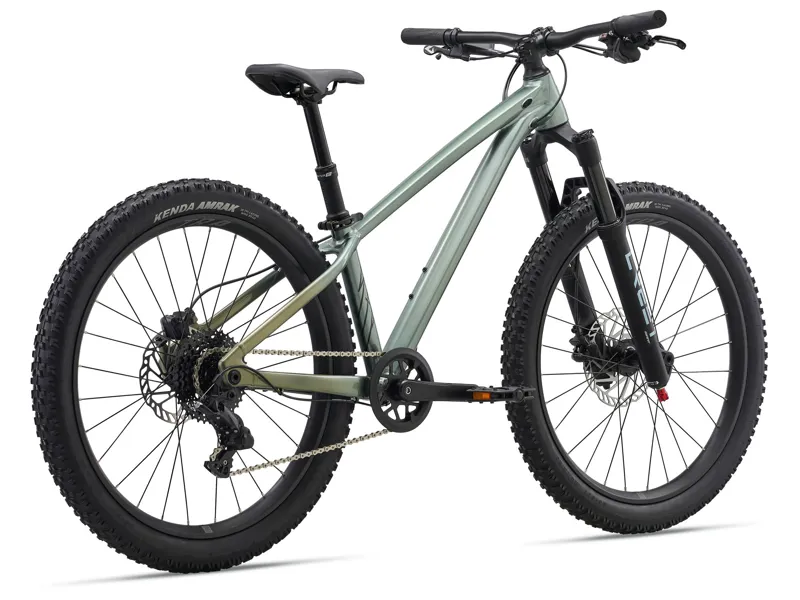 2026 Liv STP 24 Kids Mountain Bike in Alpine Green-1
