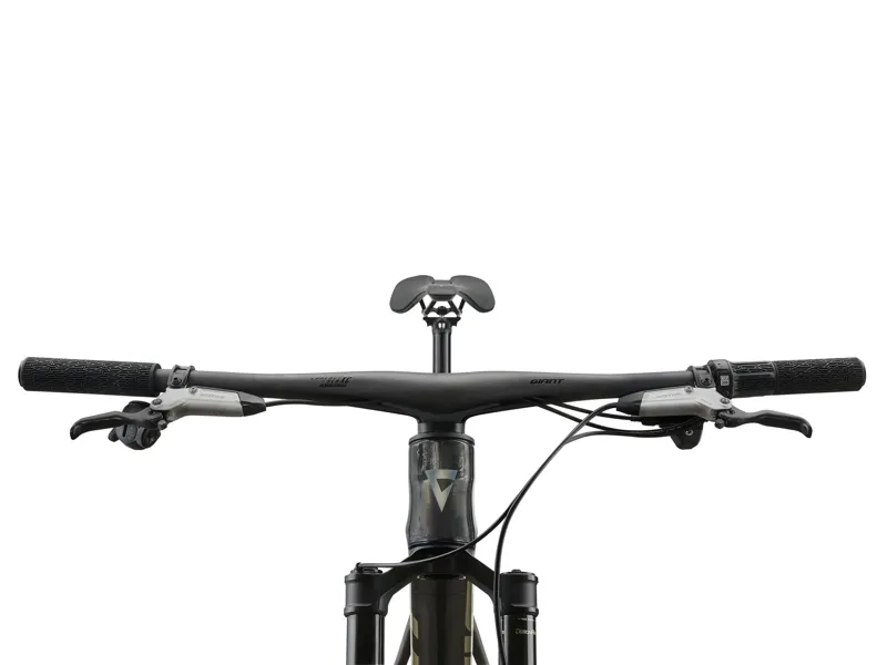 2026 Giant Anthem Advanced SL 0 Mountain Bike in Raw Carbon-3