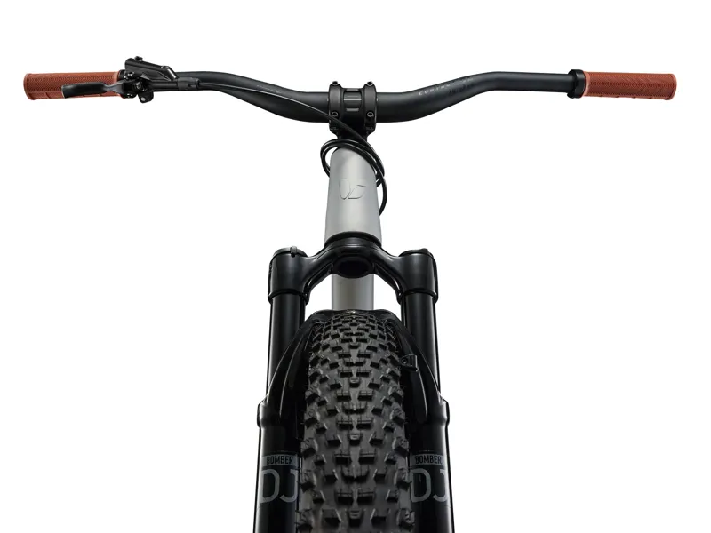 2026 Liv STP 26 Kids Mountain Bike in Quicksilver-4