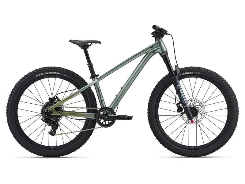 2026 Liv STP 24 Kids Mountain Bike in Alpine Green