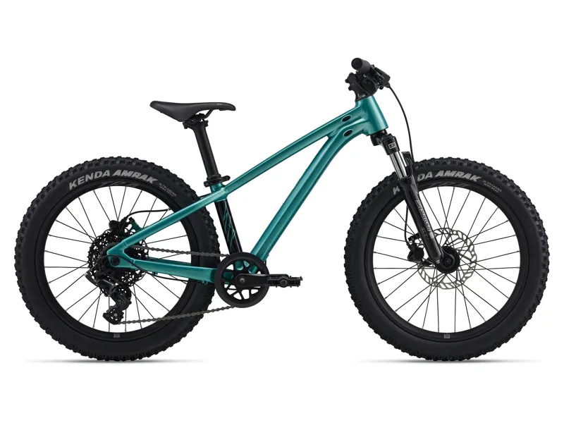 2026 Giant STP 20 FS Kids Mountain Bike in Teal