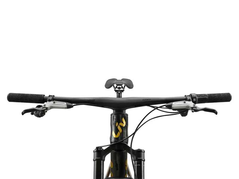 2026 Liv Pique Advanced SL 0 Mountain Bike in Raw Carbon/Steampunk-2