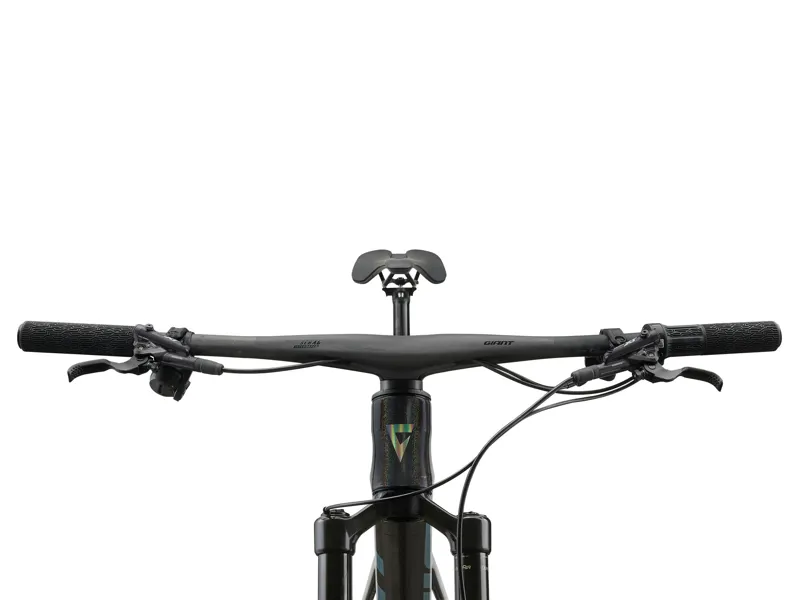 2026 Giant Anthem Advanced SL 1 Mountain Bike in Rainbow Black-3