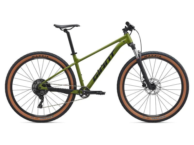 2025 Giant Talon Men's Mountain Bike in Green