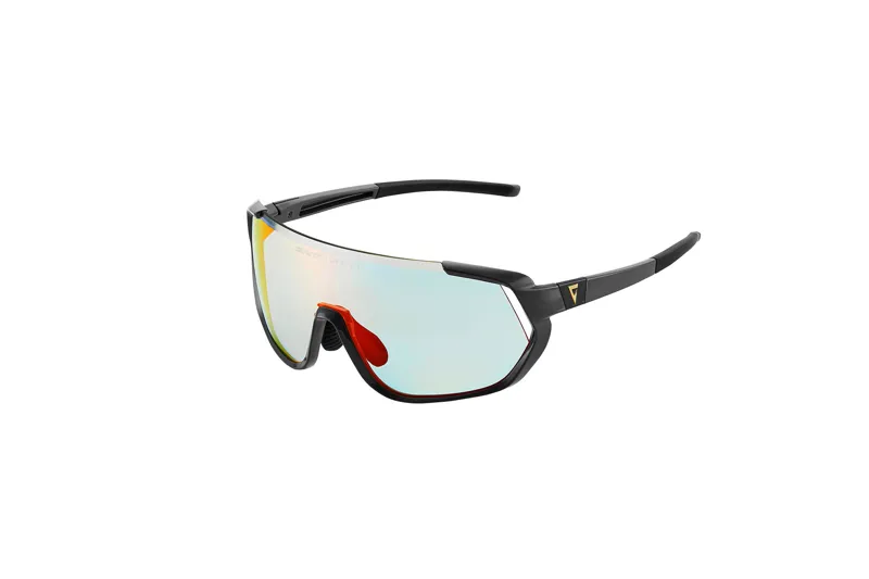 Giant Agos Grey Frame Fotovis