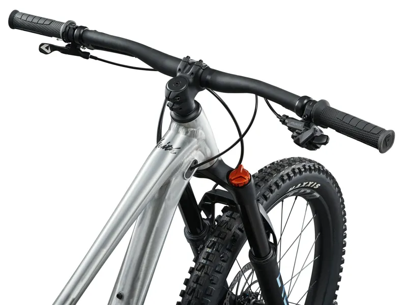 2025 Giant Faith 24 Kids Mountain Bike In Silver-5