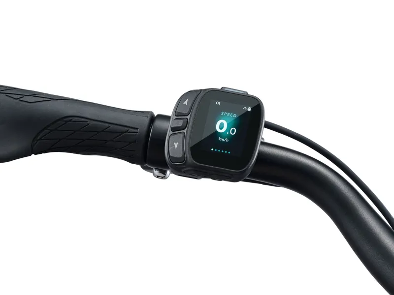 2026 Giant NewTour E+ 2 DD Electric Bike in Cold Night-4