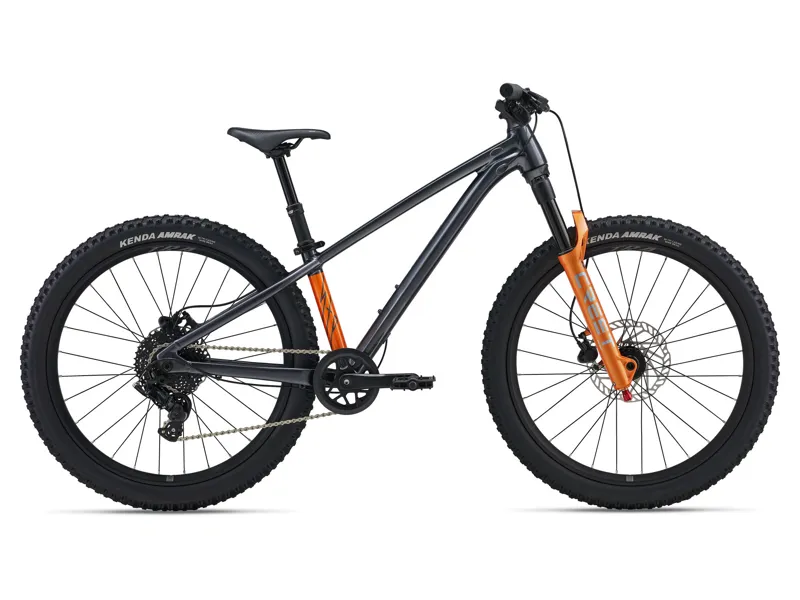 2026 Giant STP 24 Kids Mountain Bike in Black Chrome