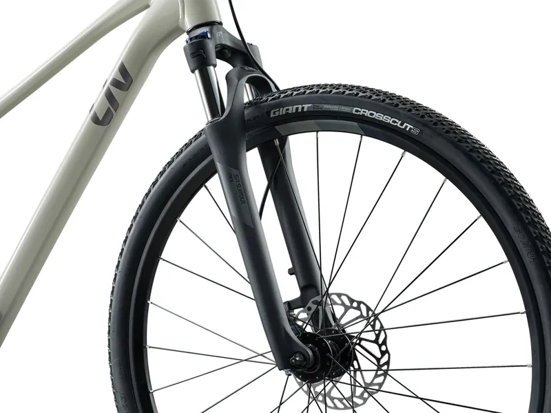 2026 Liv Rove 3 Hybrid Bike in Pulp Gray-3