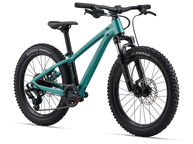 2026 Giant STP 20 FS Kids Mountain Bike in Teal-1