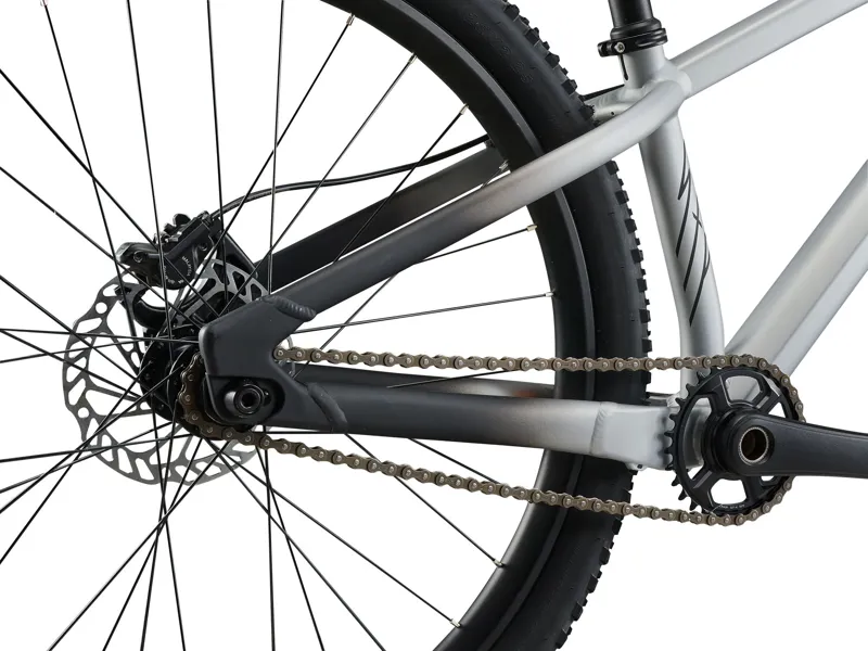 2026 Liv STP 26 Kids Mountain Bike in Quicksilver-6